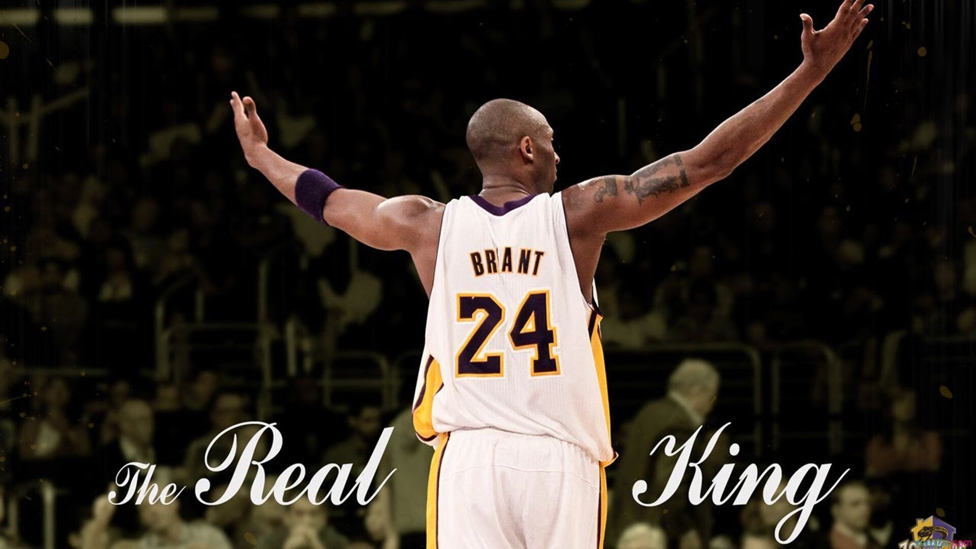 当喧嚣散尽,克莱·汤普森与那道无声的墙